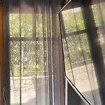 Electra In *