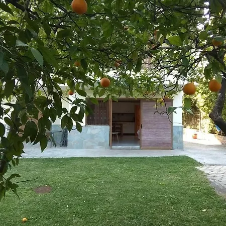 Electra In * Epidaurus