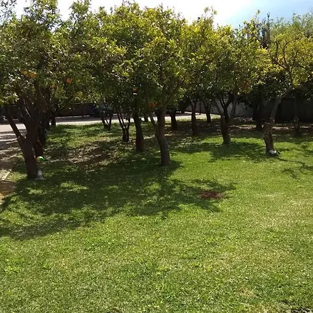 Electra In * Epidaurus