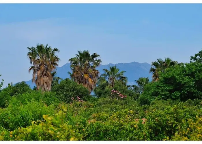 Appartement Electra In *