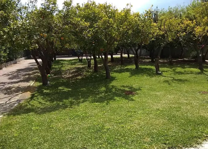 Electra In * Epidaurus